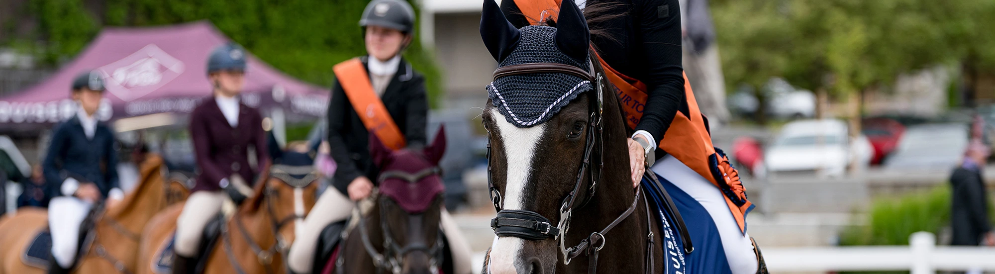 Český skokový pohár